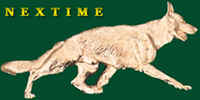 nextimeproductions.jpg (3882 bytes)