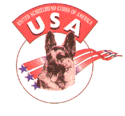 usa_schh_club.gif (12867 bytes)